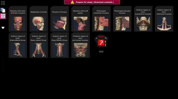 Anatomy Learning - 3D Atlas Resimleri