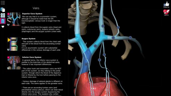 Anatomy Learning - 3D Atlas Resimleri