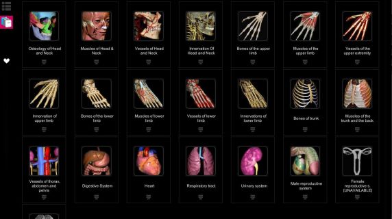 Anatomy Learning - 3D Atlas Resimleri