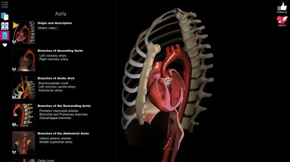 Anatomy Learning - 3D Atlas Resimleri