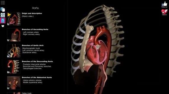 Anatomy Learning - 3D Atlas Resimleri
