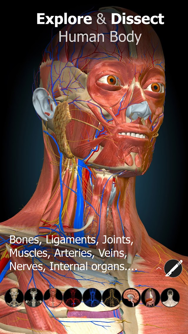 Anatomy Learning By Dr. Blanco Resimleri