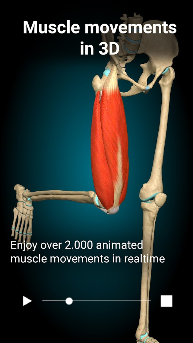 Anatomy Learning By Dr. Blanco Resimleri