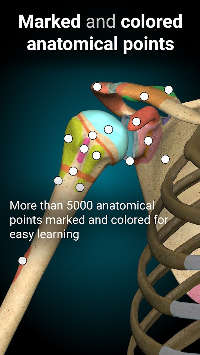 Anatomy Learning By Dr. Blanco Resimleri