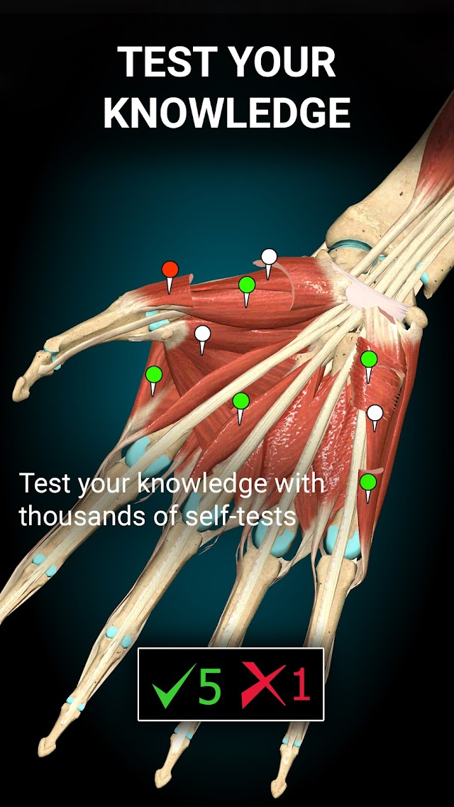 Anatomy Learning By Dr. Blanco Resimleri