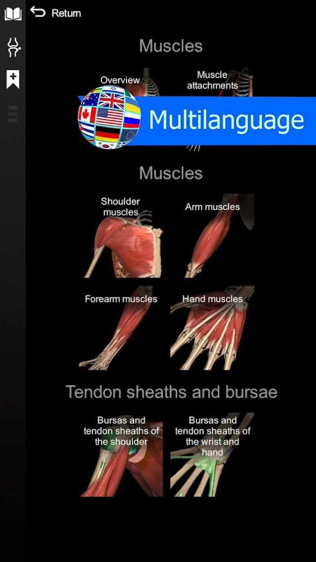 Anatomy Learning By Dr. Blanco Resimleri