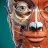 Anatomy Learning - 3D Anatomy