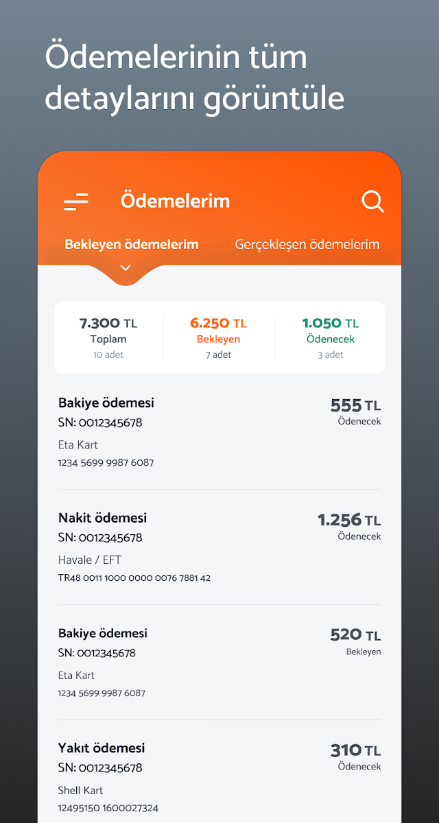 ETA E-Taşımacılık Resimleri