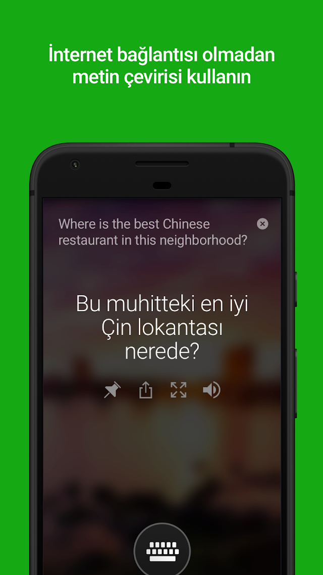 Microsoft Çevirmen Resimleri