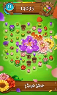 Blossom Blast Saga Resimleri