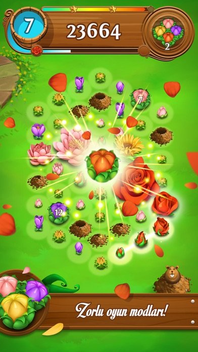 Blossom Blast Saga Resimleri