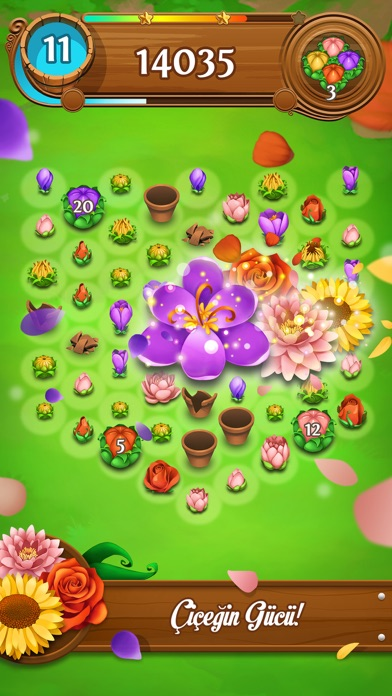 Blossom Blast Saga Resimleri
