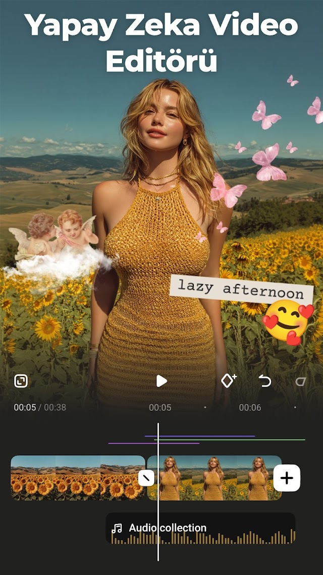 Video düzenleyicisi, yapma Resimleri