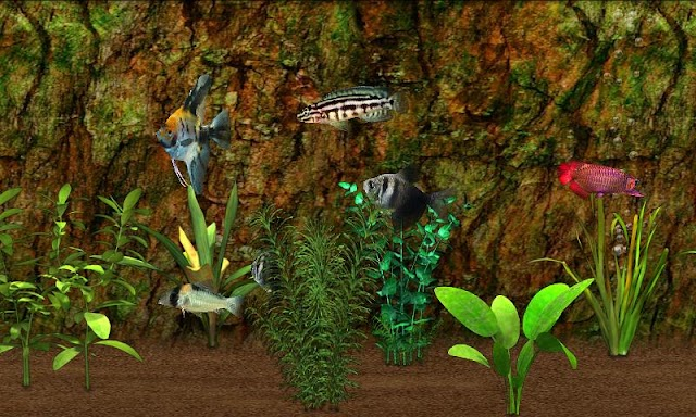 Fish Farm Resimleri