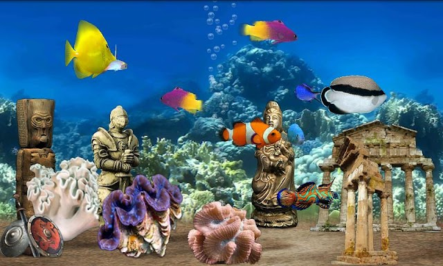 Fish Farm Resimleri