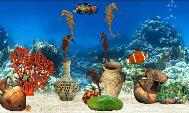 Fish Farm Resimleri