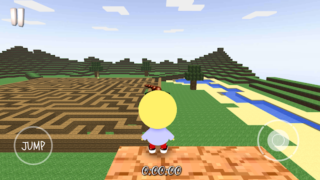 Labirent 3D Resimleri