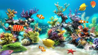 Sim Aquarium Live Wallpaper Resimleri