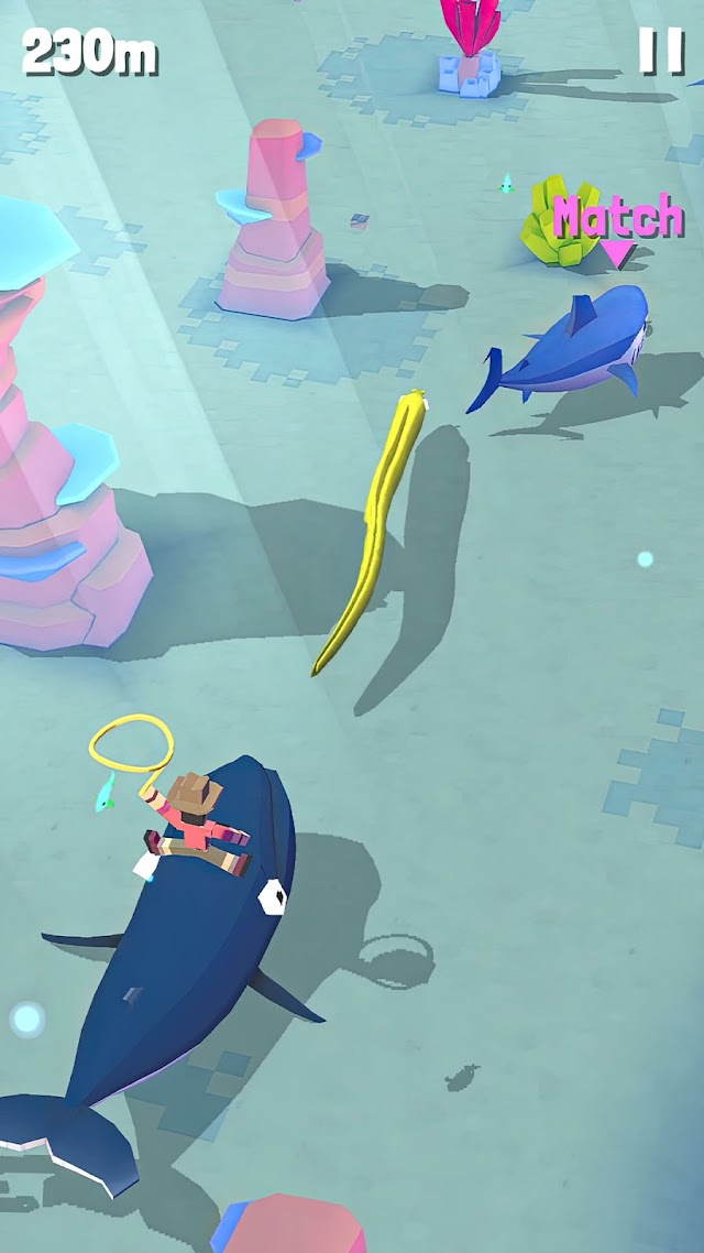Rodeo Stampede: Sky Zoo Safari Resimleri