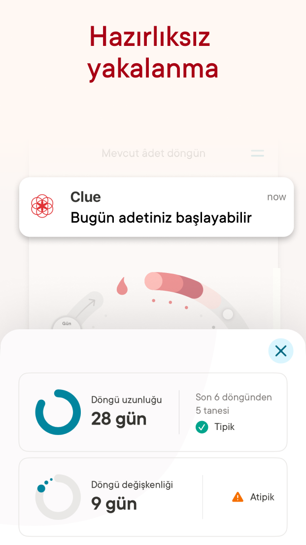 Clue Adet Döngüsü Takvimi Resimleri