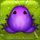 Pocket Frogs - Free pet farming iPhone ve iPad indir