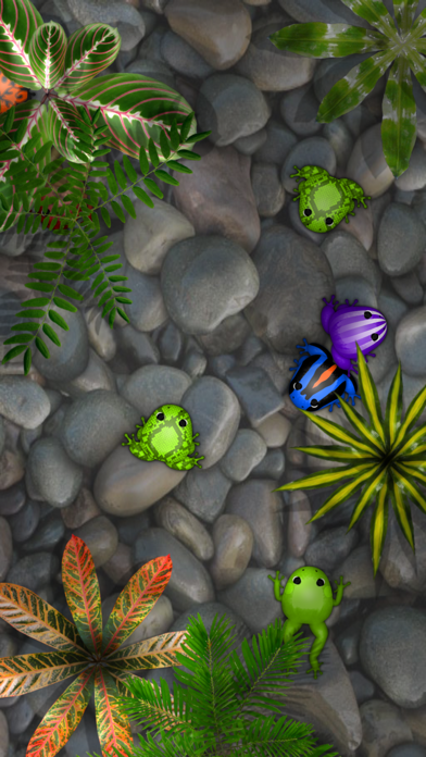 Pocket Frogs: Tiny Pond Keeper Resimleri