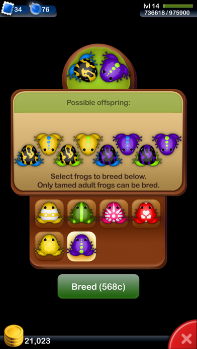 Pocket Frogs: Tiny Pond Keeper Resimleri