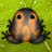 Pocket Frogs: Tiny Pond Keeper