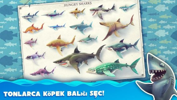 Hungry Shark World Resimleri