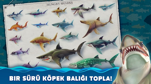 Hungry Shark World Resimleri