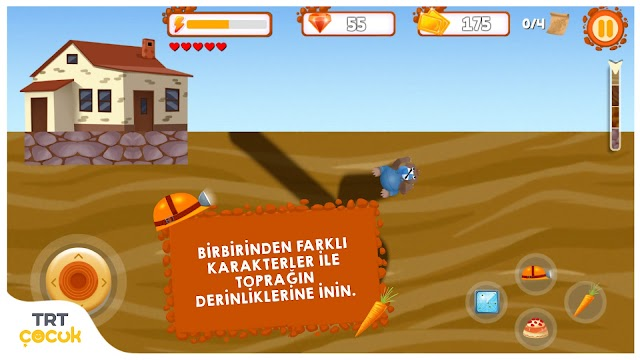 TRT Köstebekgiller Resimleri