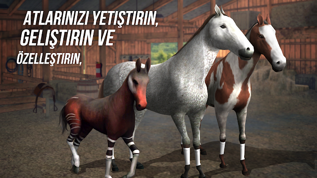 Photo Finish Horse Racing Resimleri