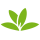 PlantNet Plant Identification Android indir