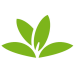 PlantNet Plant Identification Android