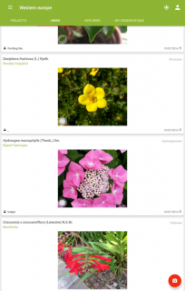 PlantNet Plant Identification Resimleri
