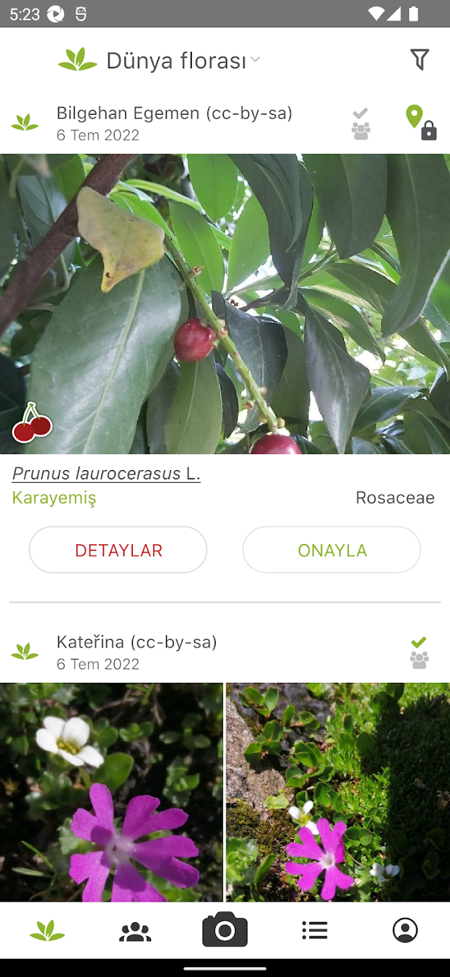 Bitki Tanımlama Uygulaması Resimleri