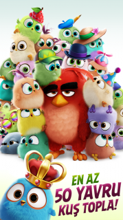 Angry Birds Match Resimleri