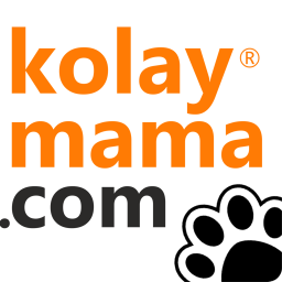 Android Kolaymama ikonu
