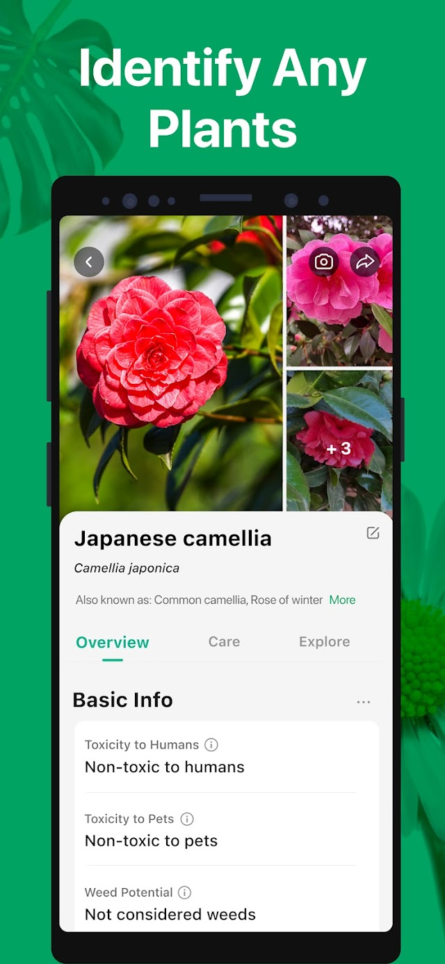 PictureThis - Plant Identifier Resimleri