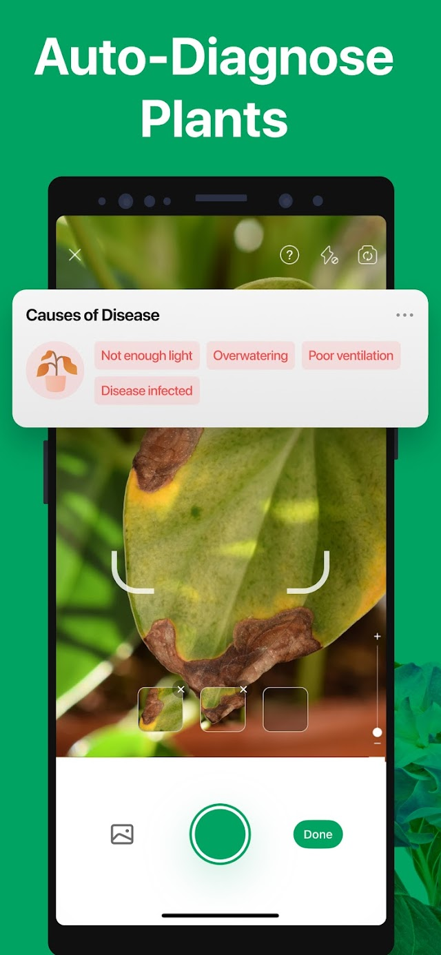 PictureThis - Plant Identifier Resimleri