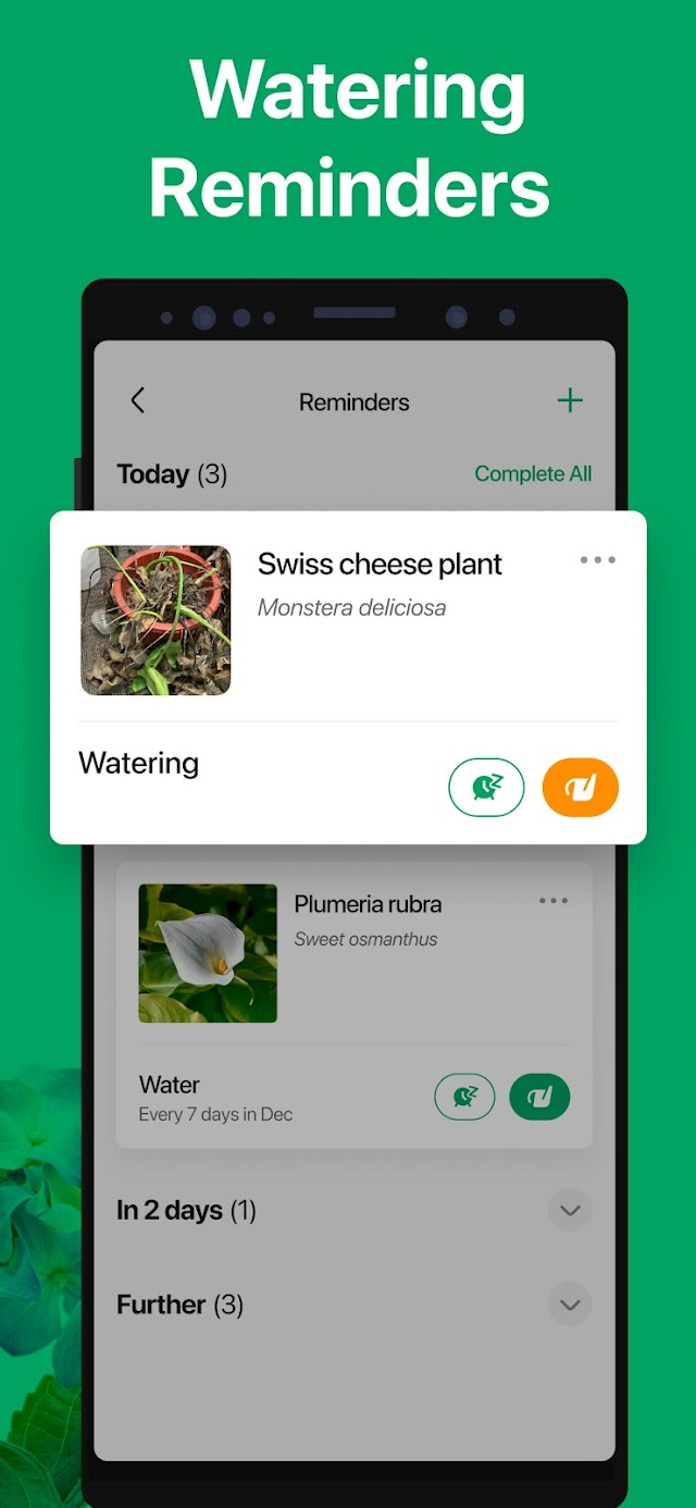 PictureThis - Plant Identifier Resimleri