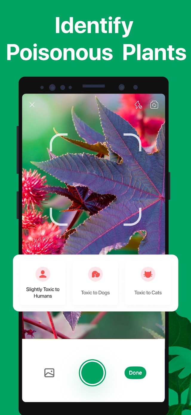 PictureThis - Plant Identifier Resimleri
