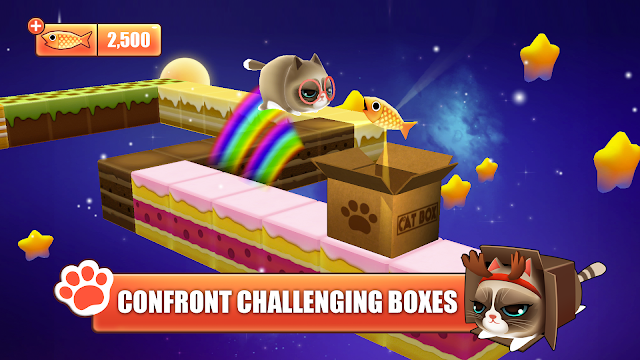 Kitty in the Box Resimleri