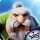 Legend of Solgard Android indir