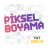 TRT Piksel Boyama