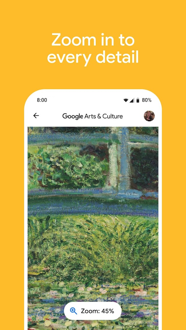 Google Arts & Culture Resimleri
