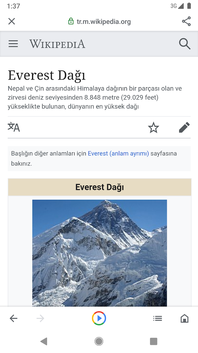 Google Go Resimleri