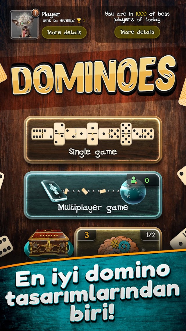 Domino Resimleri