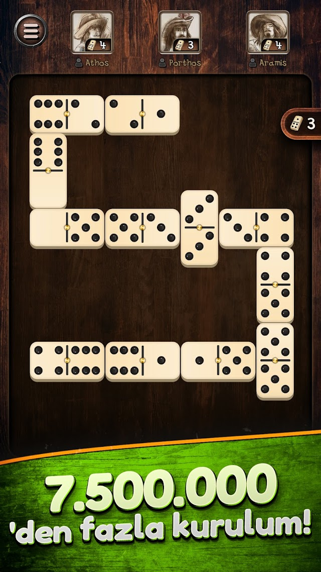 Domino Resimleri
