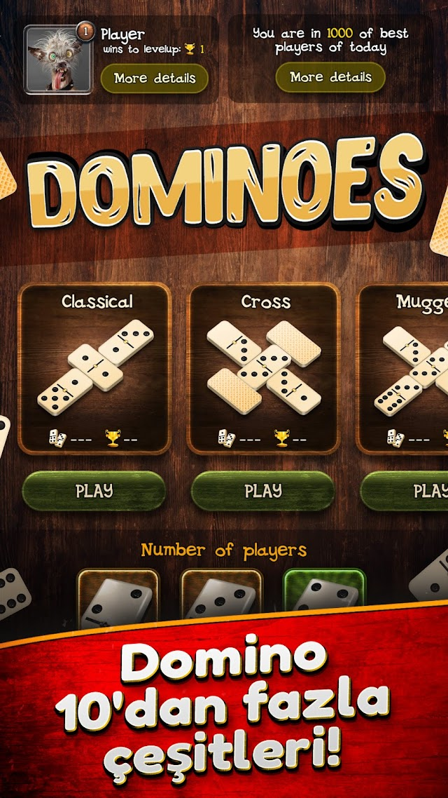 Domino Resimleri